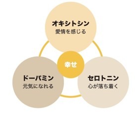 3つの幸せホルモンの「相乗効果」