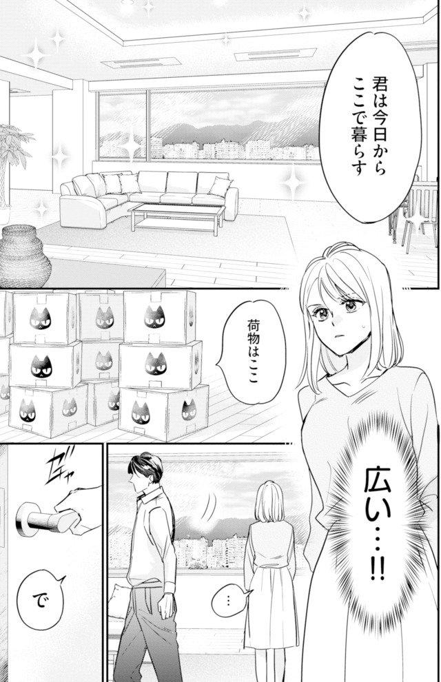 冷徹社長の溺愛に酔わされて~この結婚は借金のカタにつき~