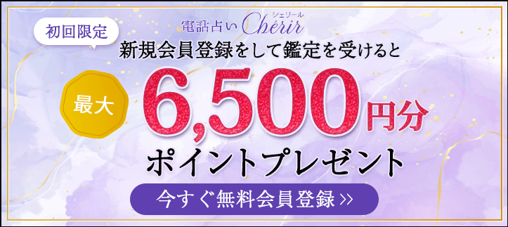 シェリール初回キャンペーン